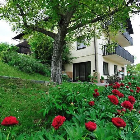 Aurelius 3*